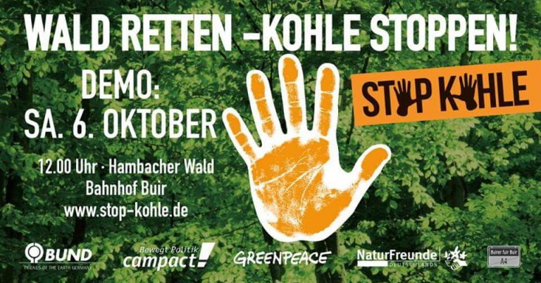 Bündnis 90/Die Grünen rufen zur Teilnahme an Demonstration am Hambacher Forst auf