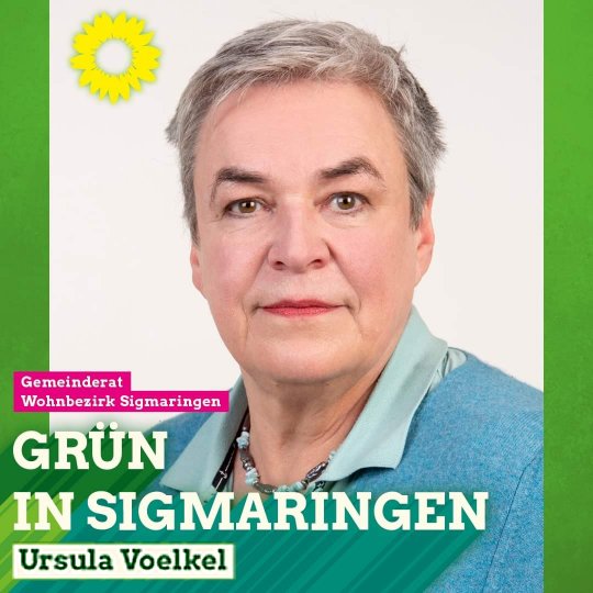 Haushaltsrede der Fraktionsvorsitzenden Ursula Voelkel im Stadtrat Sigmaringen