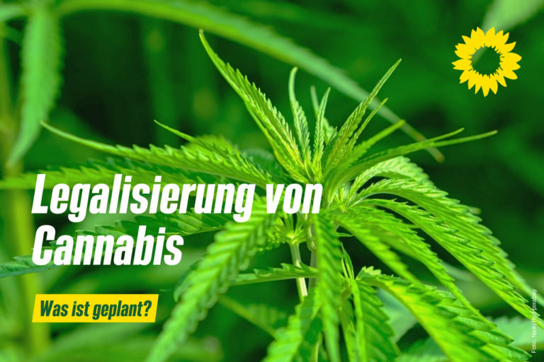 Legalisierung von Cannabis – Veranstaltungsbericht