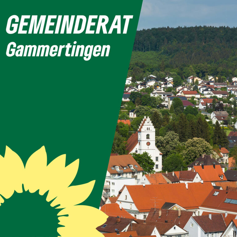 Grüne Mandate – Gemeinderat Gammertingen