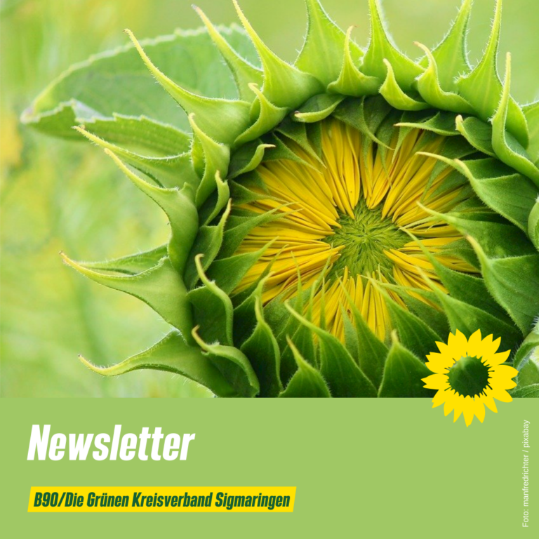 Newsletter Januar 2025