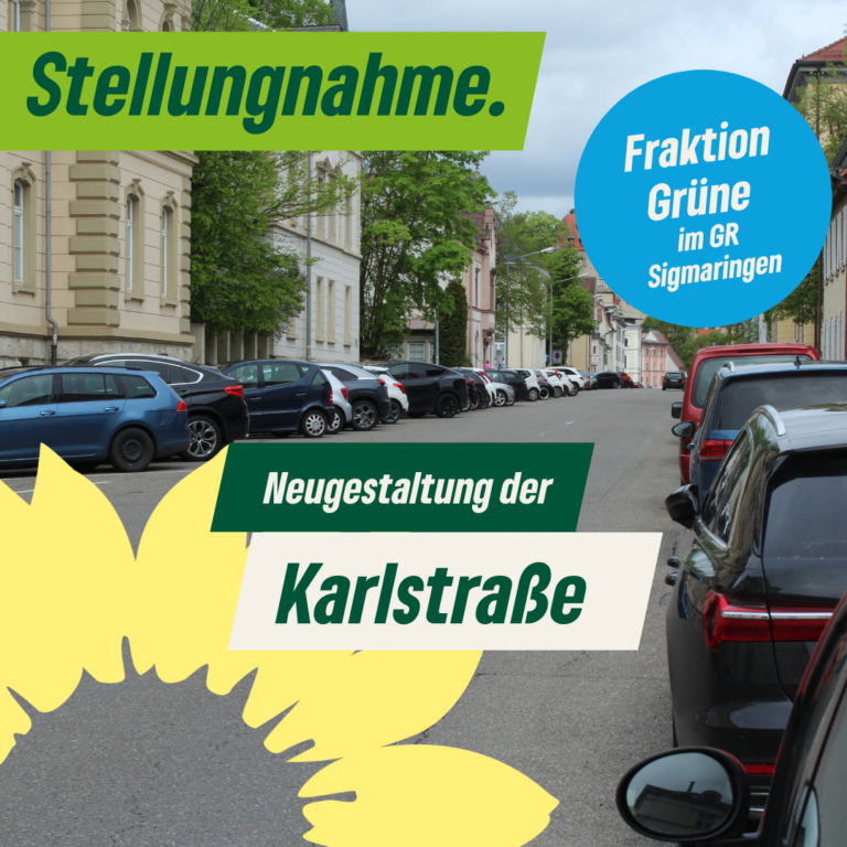 Stellungnahme. Neugestaltung der Karlstraße