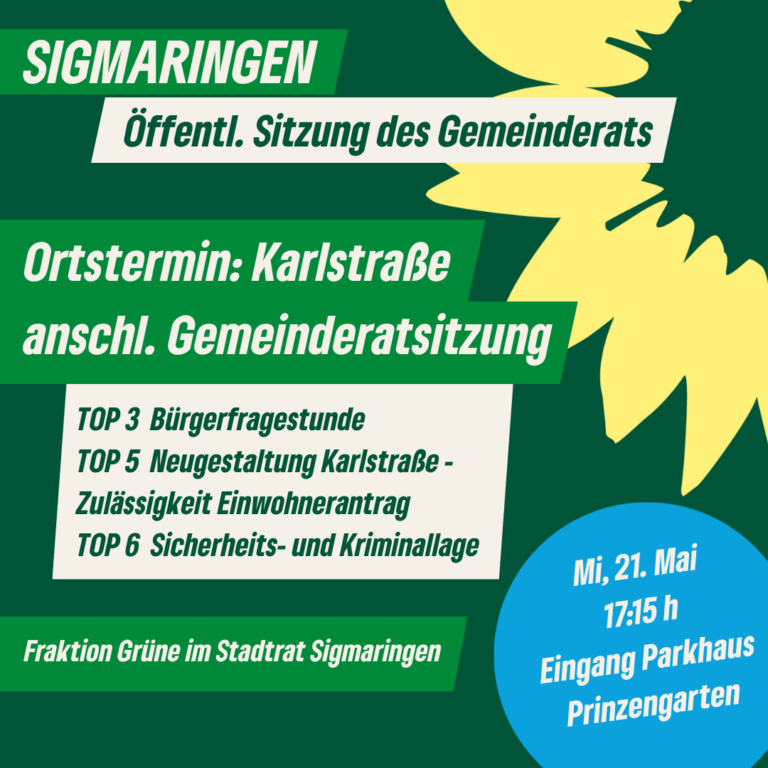 Gemeinderat Sigmaringen. Vor-Ort-Termin und öffentliche Sitzung